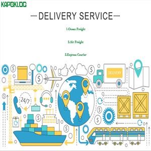 Chiny do France Sea Freight Service