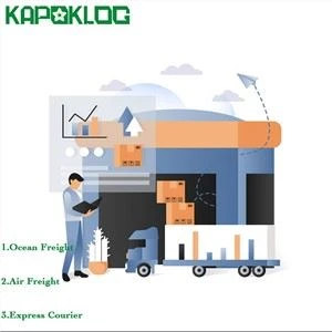 Top 10 firma logistyczna DDP Door to Door Sea